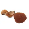 Coconut Shell Powder